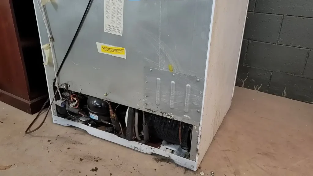 refrigerator or freezer